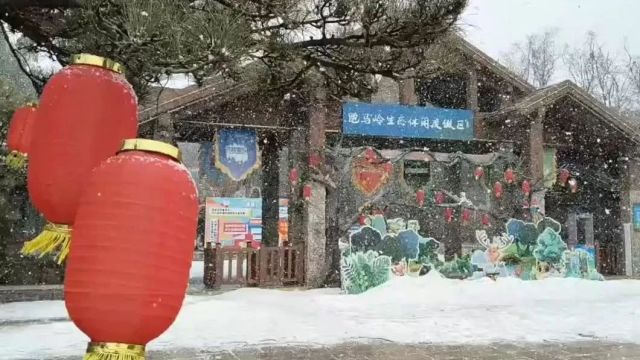 刚刚,济南下雪了!最新预报速看~