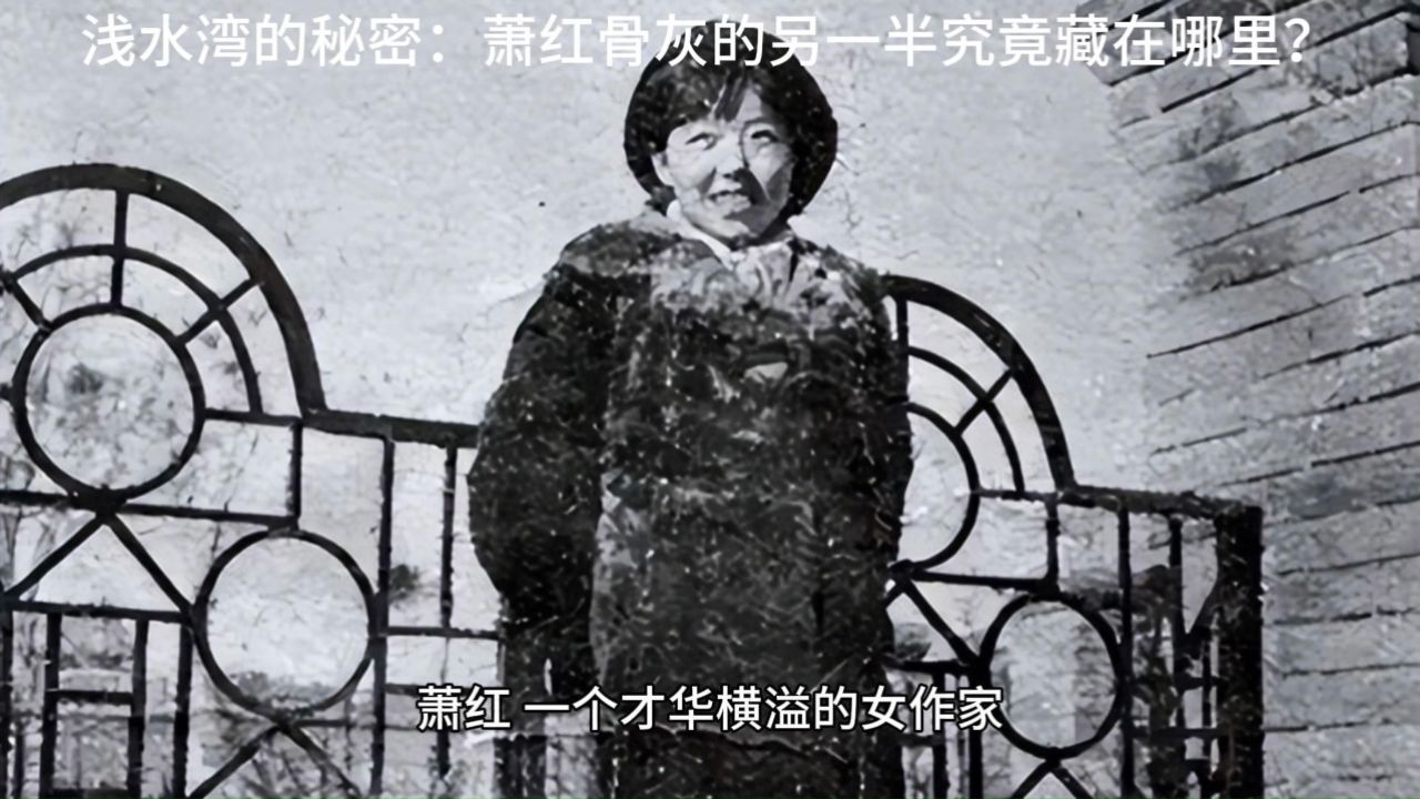 浅水湾的秘密:萧红骨灰的另一半究竟藏在哪里?