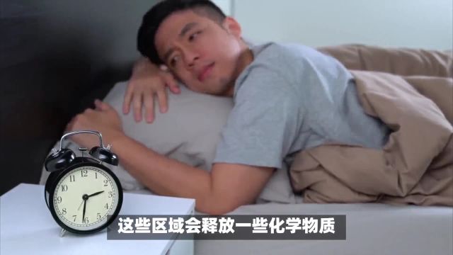 嗜睡症到底是什么