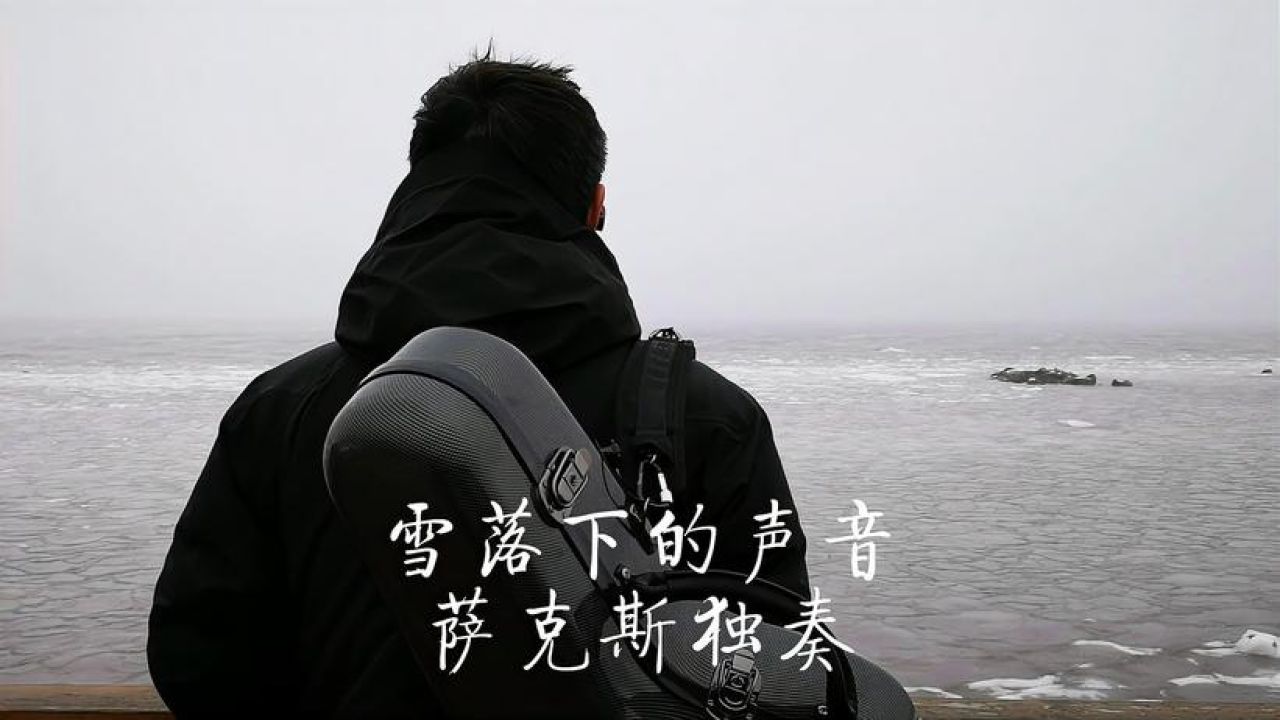 《雪落下的声音》怀旧金曲次中音萨克斯独奏saxophone cover