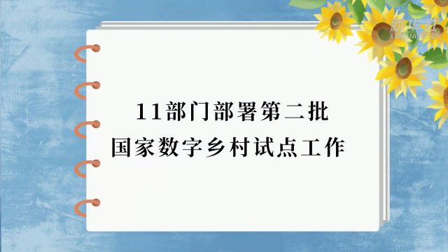 11部门部署第二批国家数字乡村试点工作