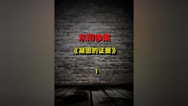 东阳惨案:凝固的证据.上