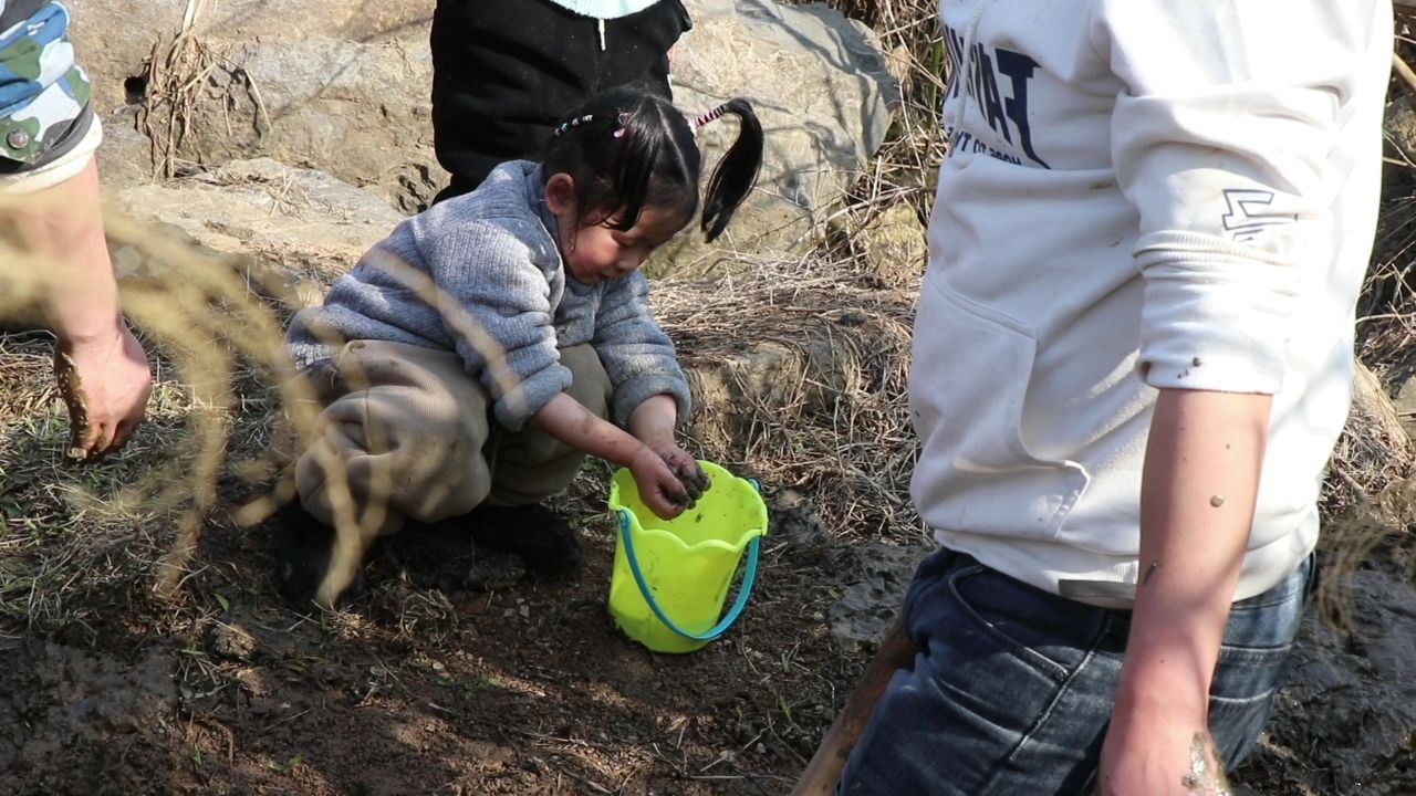 小农乡带小朋友挖泥鳅,乐趣无穷,中饭炖一锅酸辣泥鳅,鲜美入味