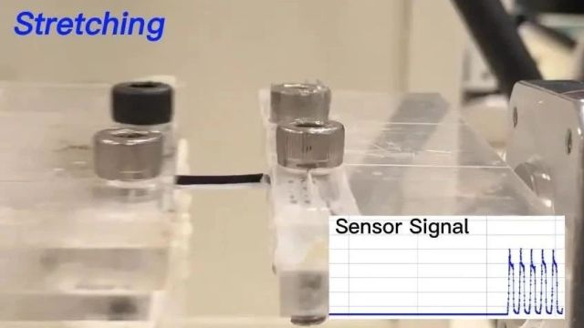 西北工业大学黄维院士团队杨海涛教授《自然ⷩ€š讯》:计算机辅助的超稳健软体机器人应变传感器