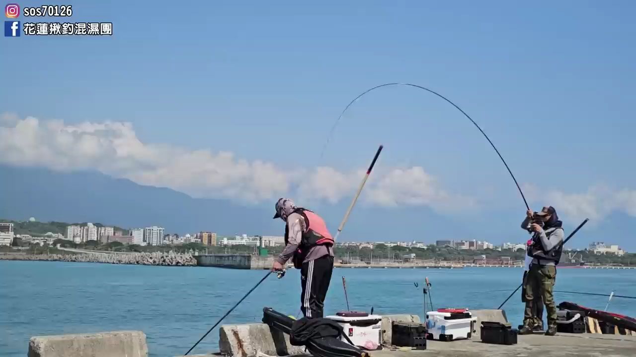 海钓矶钓,花莲港东堤每天都爆满,黑巴鲳鱼,石鲷鱼咬的太猛烈