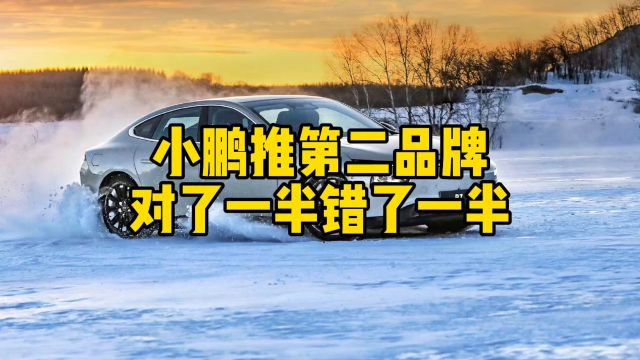 互联网评:小鹏推第二品牌也对也错,或为改名