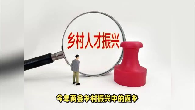 两会热议乡村振兴如何激发年轻人返乡创业热情