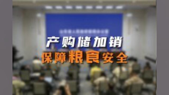 山东省粮食和物资储备局:强化“产购储加销”协同 打造高质量粮食安全保障体系