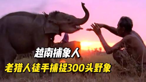 越南捕象人，老猎人徒手捕捉300头野象，驯化之后再放生