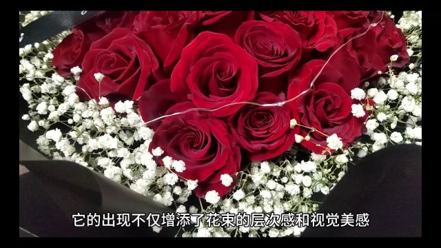 满天星的花语是什么