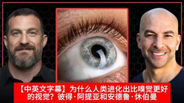 【中英文字幕】为什么人类进化出比嗅觉更好的视觉?彼得ⷩ˜🦏亚和安德鲁ⷤ𜑤𜯦›𜀀