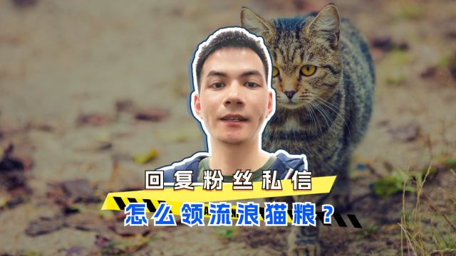 回复粉丝私信,怎么领流浪猫粮?