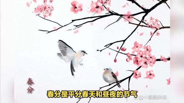 春分节气解析:昼夜等长,春天已过半