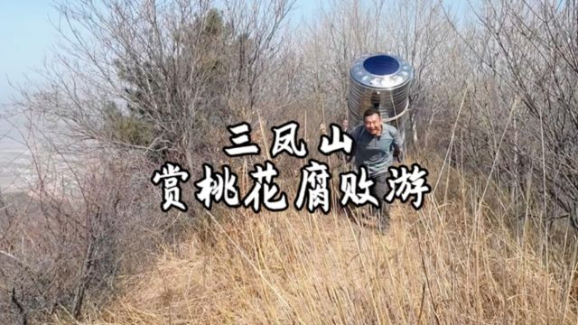 必然得旅行户外之三凤山桃花谷赏桃花腐败游