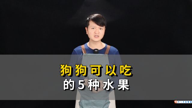 狗狗可以吃的5种水果,你喂对了吗?