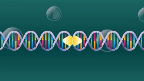 DNA的双螺旋结构与半保留复制
