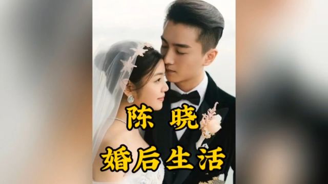 陈晓婚后生活