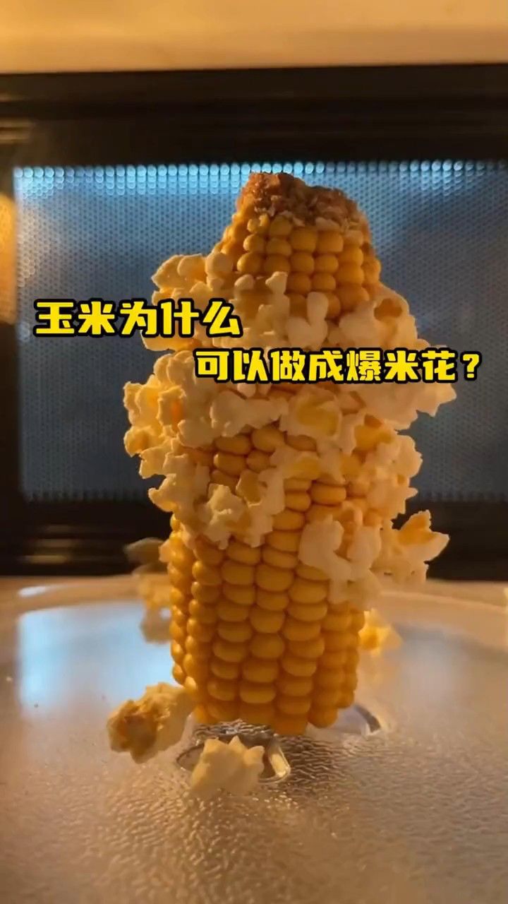 玉米可以制作爆米花,但你知道其中的原理吗?