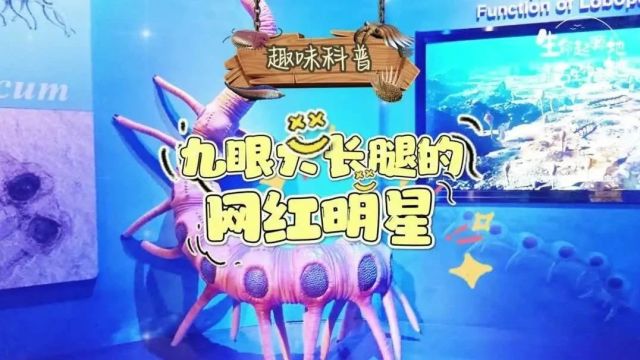 穿越寒武纪丨传说中的“九眼精灵”→中华微网虫