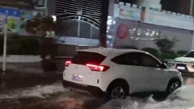 强雷雨云团影响,广东惠州:强对流天气致多地树木倒伏,多部门全力处置