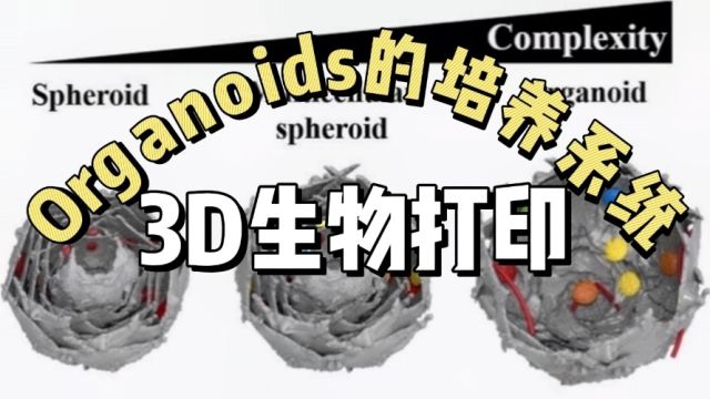 Organoids培养系统,3D Bioprint[知识泥土]