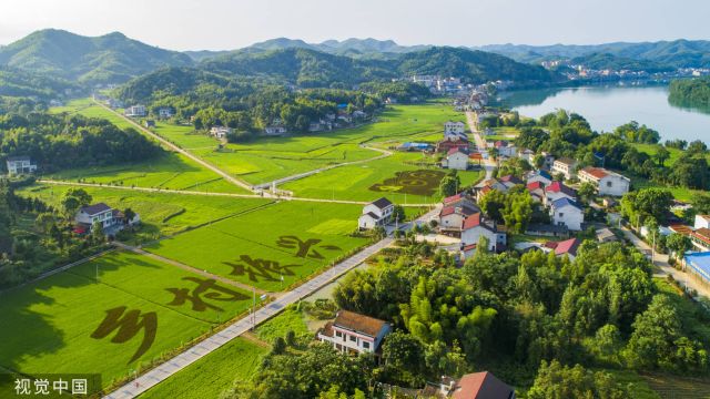 样板的力量 |党建引领乡村振兴善治之路