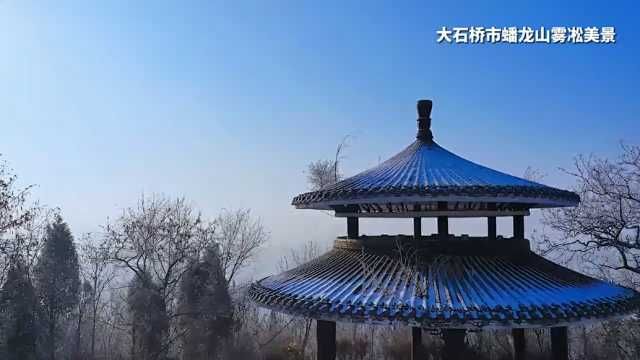 辽宁省“冰天雪地也是金山银山”短视频大赛|雪未融 雾凇至