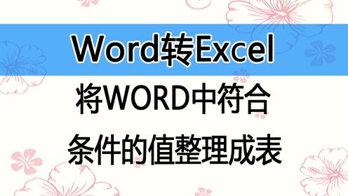 WORD转Excel将WORD段落中符合条件的字符串提取出来、整理成表格，可以设置1到3个参考条件