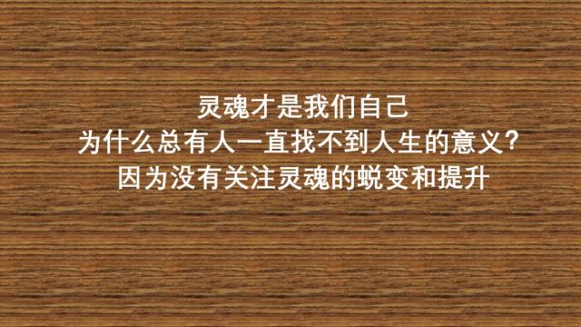 灵魂才是我们自己,人生的意义在于灵魂的蜕变和提升