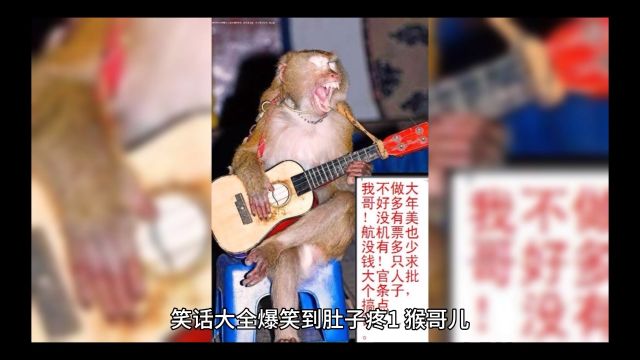 笑话大全爆笑到肚子疼,猴哥儿