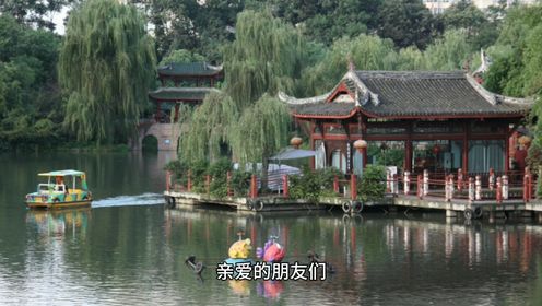 成都棠湖公园，四季皆景，春日海棠盛放，是家庭周末赏花的理想之地