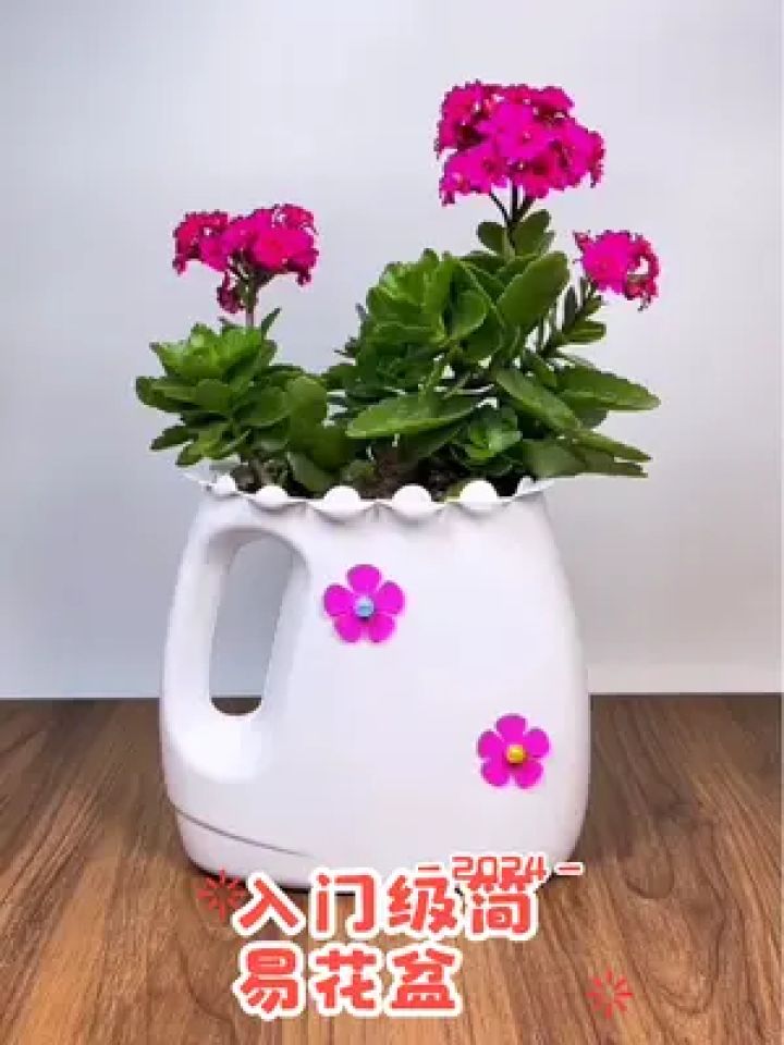 洗衣液瓶改造入门级简易花盆#变废为宝 #自制花盆 #手工 #手工花盆