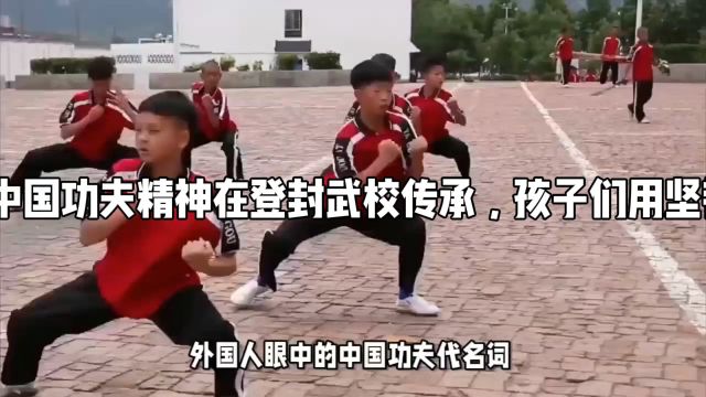 中国功夫精神在登封武校传承,孩子们用坚韧诠释传奇