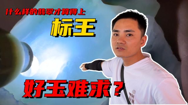 什么样的翡翠才算得上标王!公盘逛一天,志哥为何感叹好玉难求?