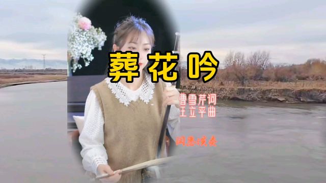 美女老师二胡真情演奏葬花吟完整版