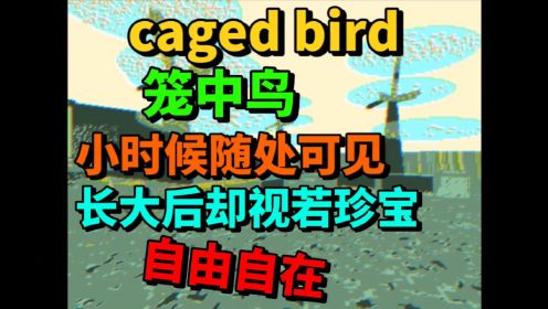 caged bird笼中鸟-小时候随处可见，长大后视若珍宝的自由-游戏解说