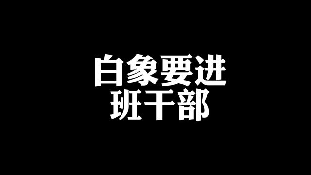 当白象想入选班干部,兔子:可以,但我拒绝