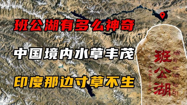 班公湖有多神奇?中国境内水草丰茂,印度那边寸草不生!