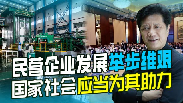 民企发展利国利民,应该公平对待自己人,为其发展加点油