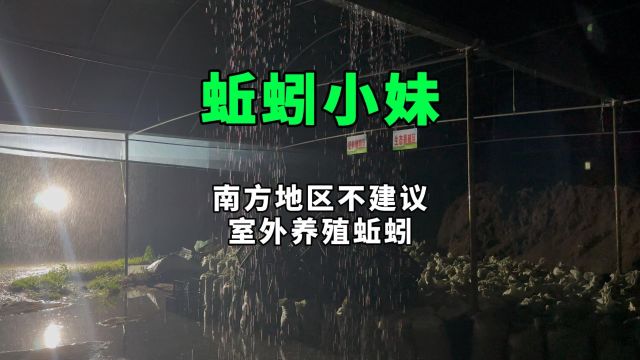 南方地区不建议室外养殖蚯蚓