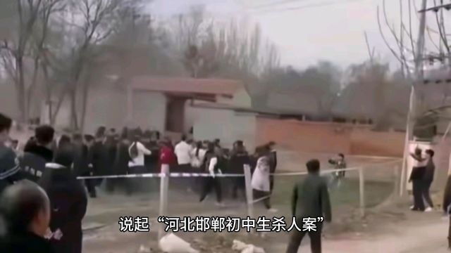 邯郸初中生杀人案:不能因一些极端个案,而改变对青少年犯罪坚持“以教育为主,惩戒为辅”的基本立场,使低龄未成年人犯罪