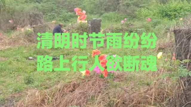 清明时节雨纷纷 路上行人欲断魂现代解释是什么意思?