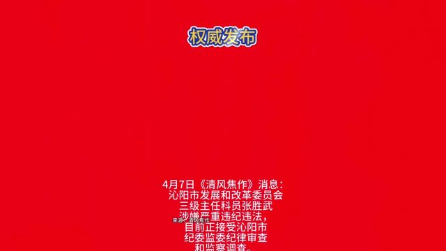 沁阳市发展和改革委员会三级主任科员张胜武接受纪律审查和监察调查