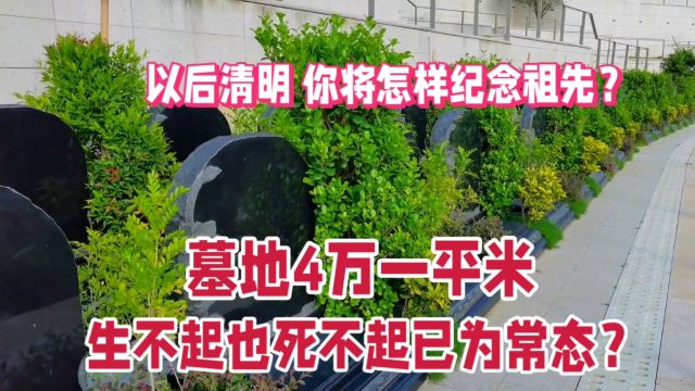 墓地价格超越房价!厦门墓地每平方米46万元,网友呼“死不起”