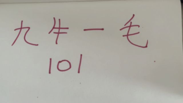 九牛一毛“101”看看