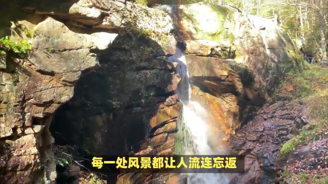 商南旅游景点:探访商南神秘之地,金丝大峡谷等你征服!