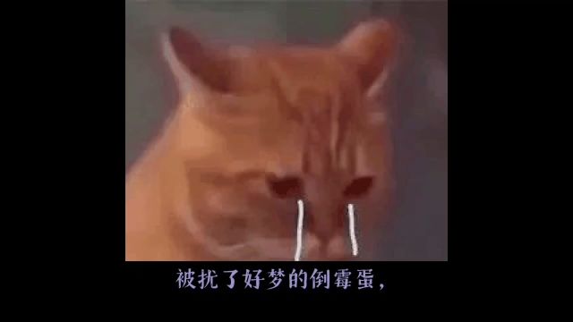 《花颜策》(6)爬房