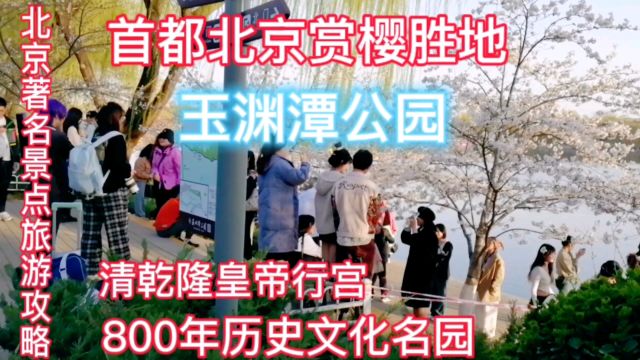 首都北京赏樱胜地玉渊潭公园,清乾隆皇帝行宫,800年历史名园