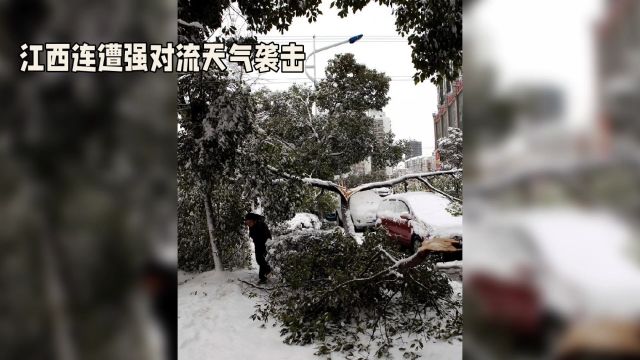 江西风雹灾害致7人死亡,风雹洪涝成主要灾种