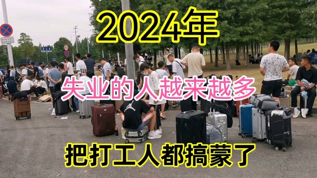 2024年,失业的人越来越多,打工人都蒙了